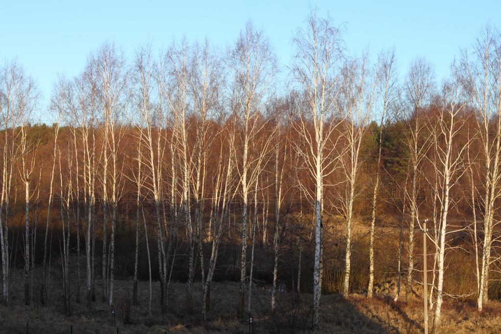 Forest Apartment Паланга Экстерьер фото